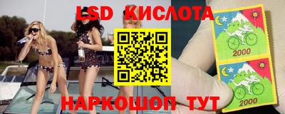 jwh Бердск