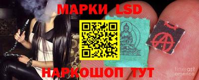 jwh Бердск