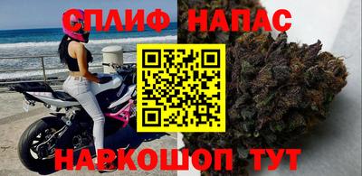 jwh Бердск