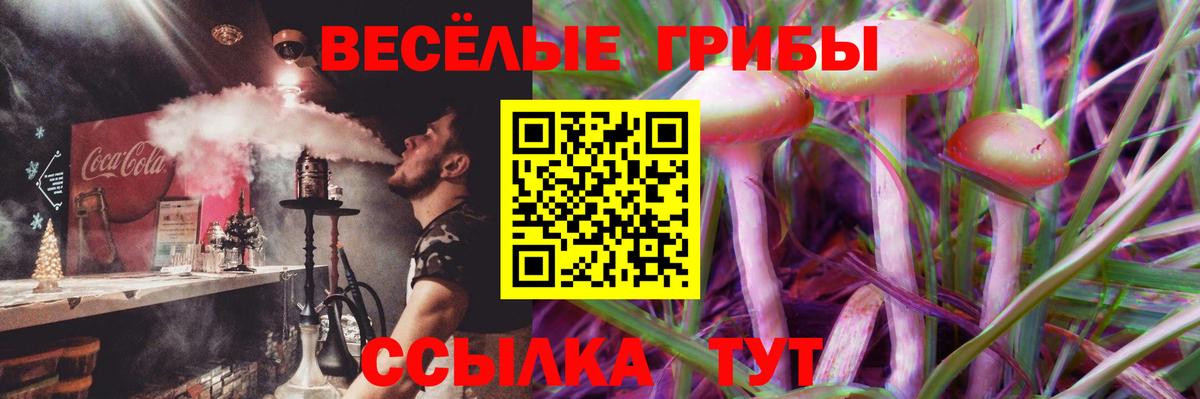 Псилоцибиновые грибы Psilocybine cubensis  Псилоцибиновые грибы ЛСД  Большой Камень  Вход с VPN 